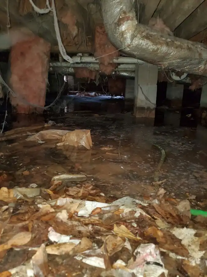 Crawl space flood assessment for Leak Detection & Repair in Countryside